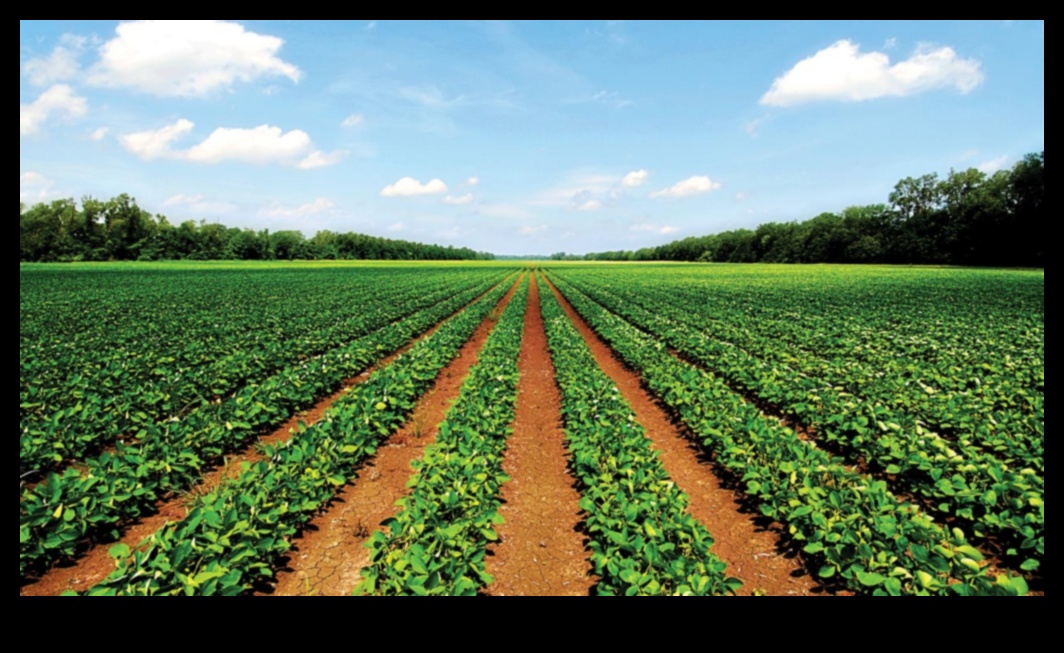 Diete pe termen lung și agricultura durabilă: o perspectivă verde