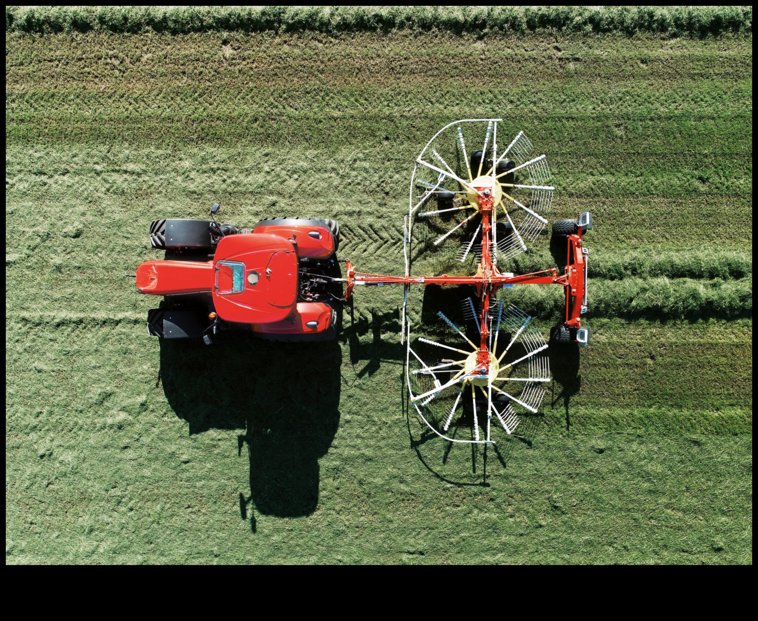 Diete pe termen lung și agricultura durabilă: o perspectivă verde