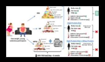 Impactul dietelor pe termen scurt asupra compoziției corpului